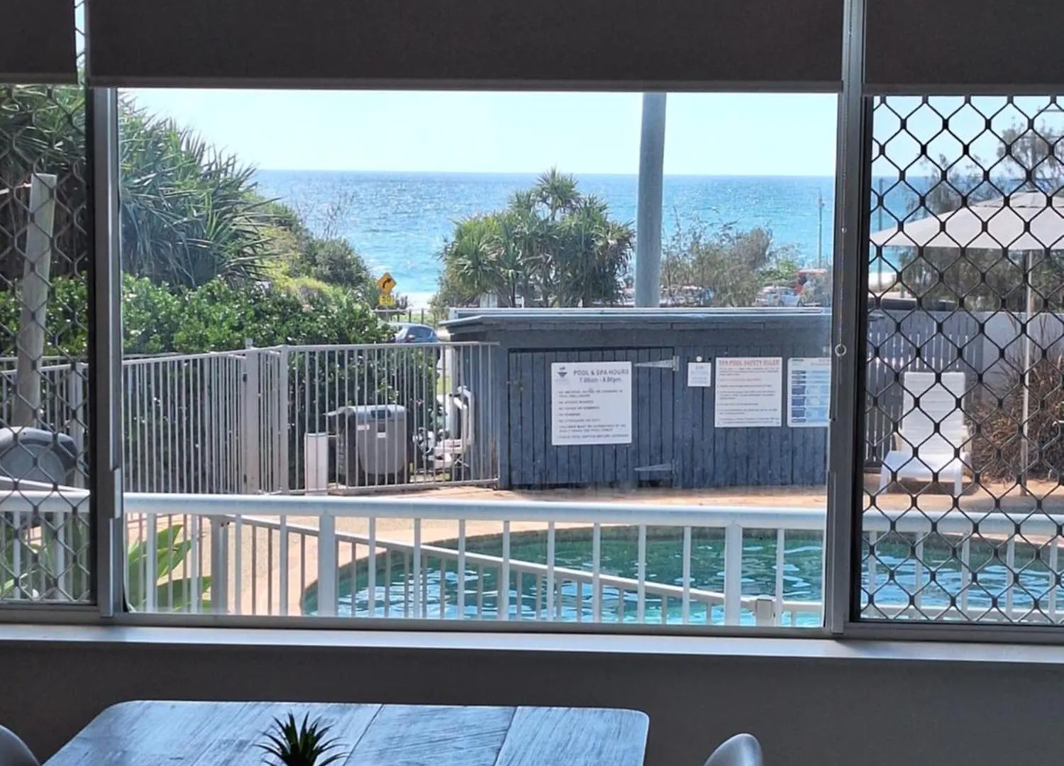 Pandanus Coolum Beach Australia