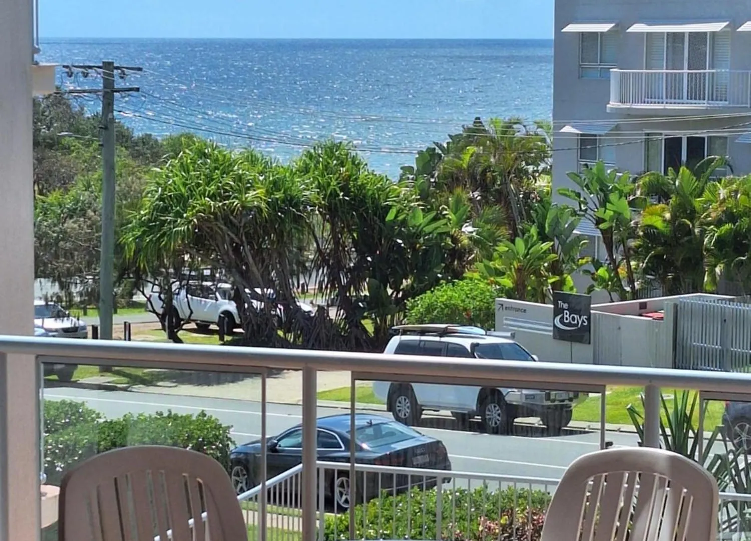 Pandanus Coolum Beach