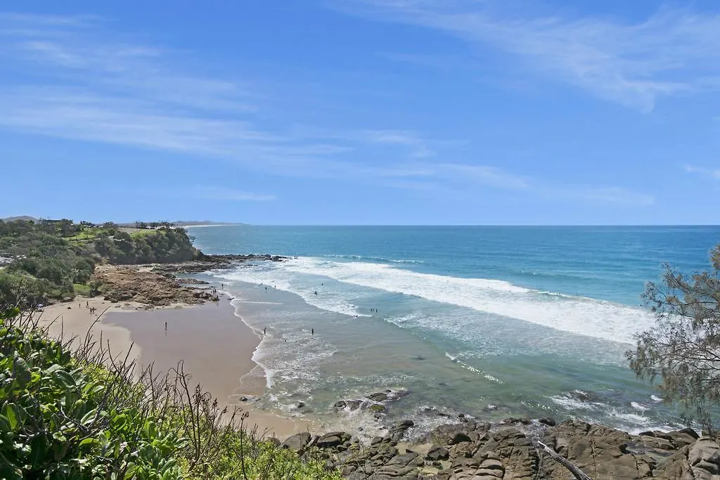 Pandanus Coolum Beach